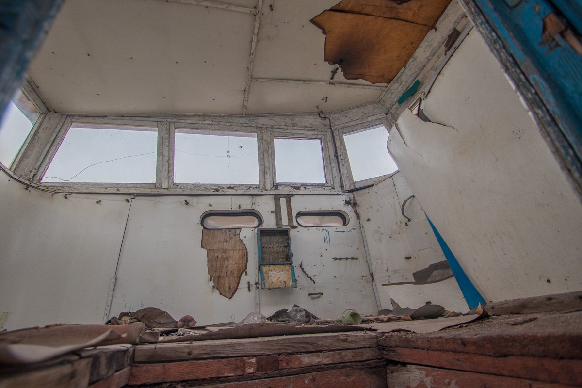 Птицы щебечут ему сказки о путешествиях