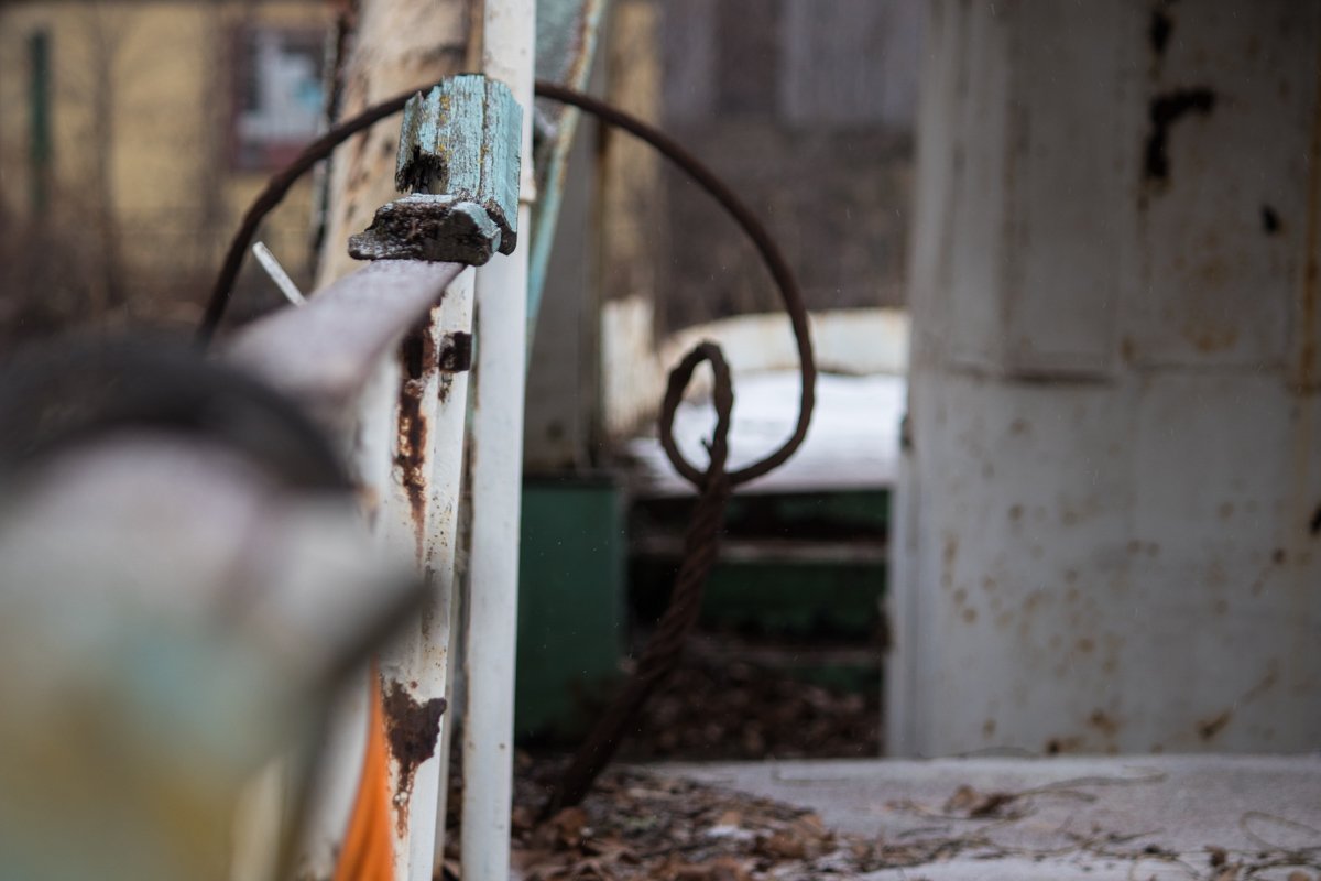 Зима украла его пледом