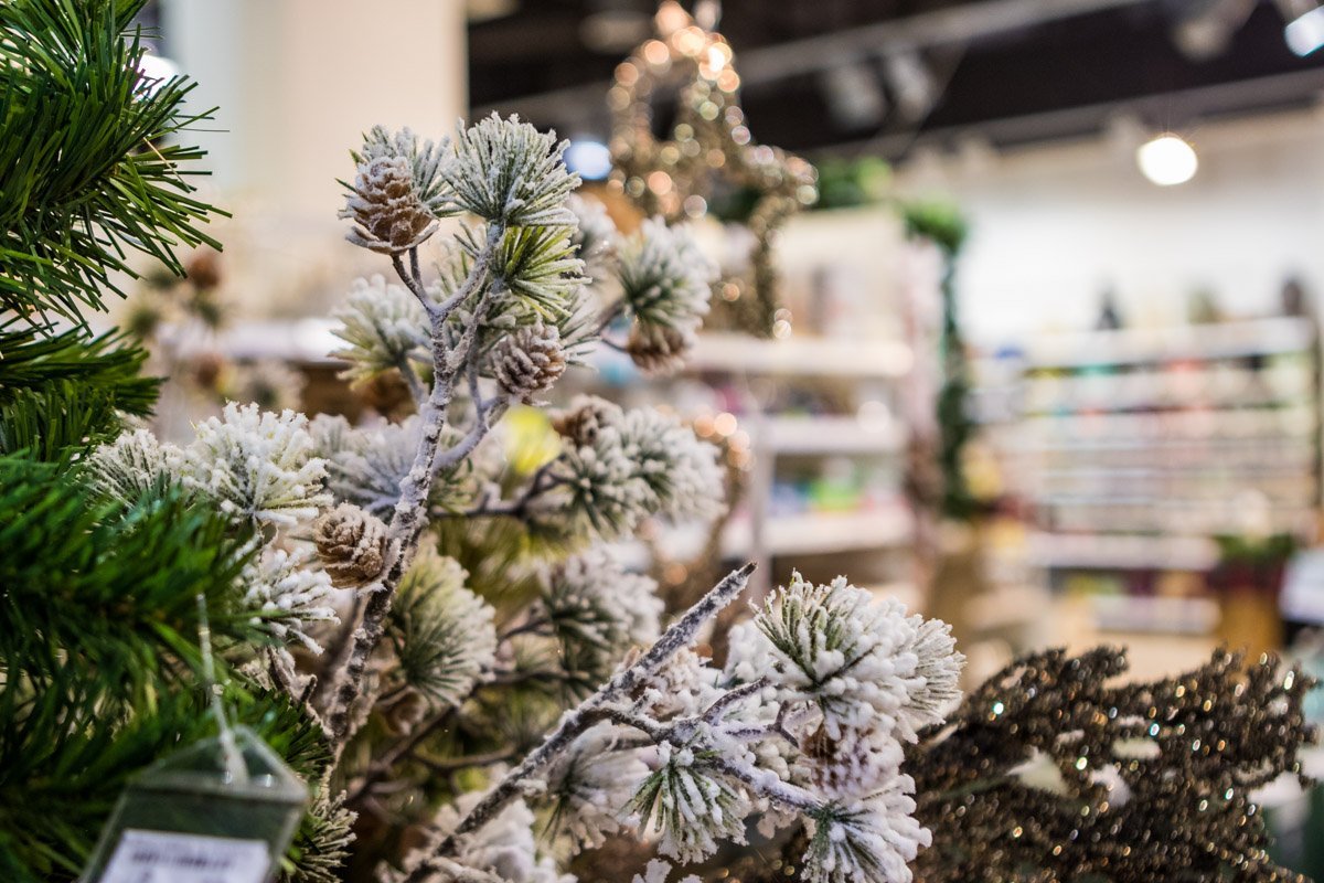 Искусственные елки лучше живых
