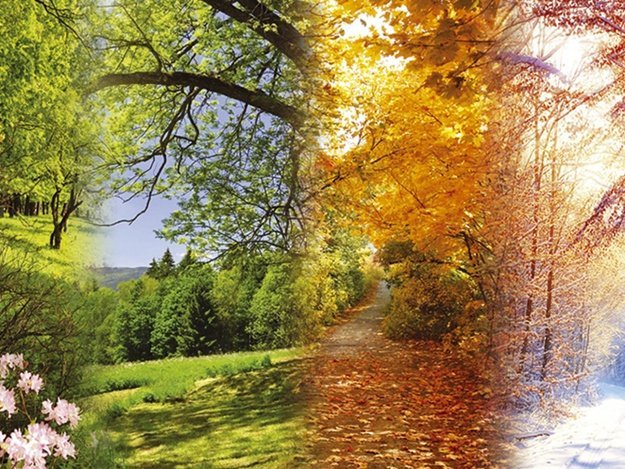 Нежная, романтическая и, в основном, беззаботная музыка 5-й симфонии Франца Шуберта