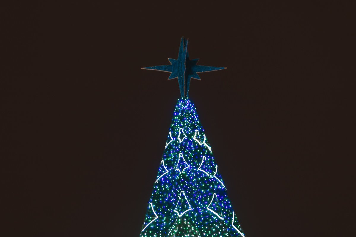 В воздухе витает аромат зимы В воздухе витает аромат зимы
