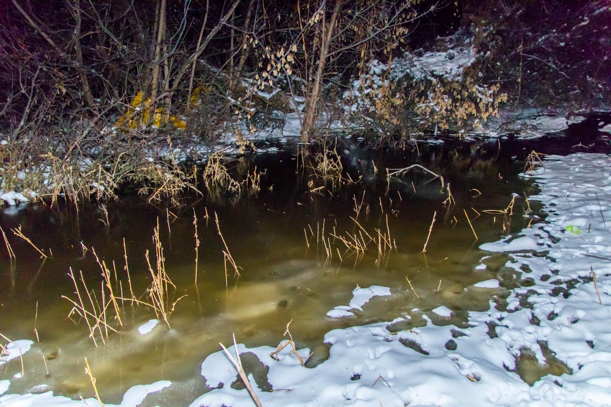 В районе лесополосы образовалось "болото" из снега и мусора В районе лесополосы образовалось "болото" из снега и мусора