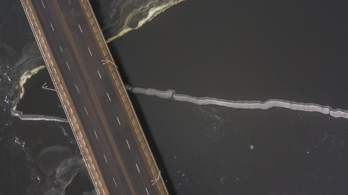 Блюда из рыбы не такие уж вкусные, чтобы тратить на них жизнь