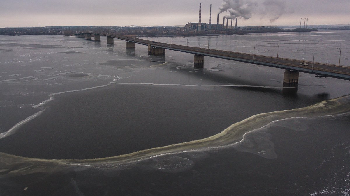 Нет, сомам не скучно на дне без вас