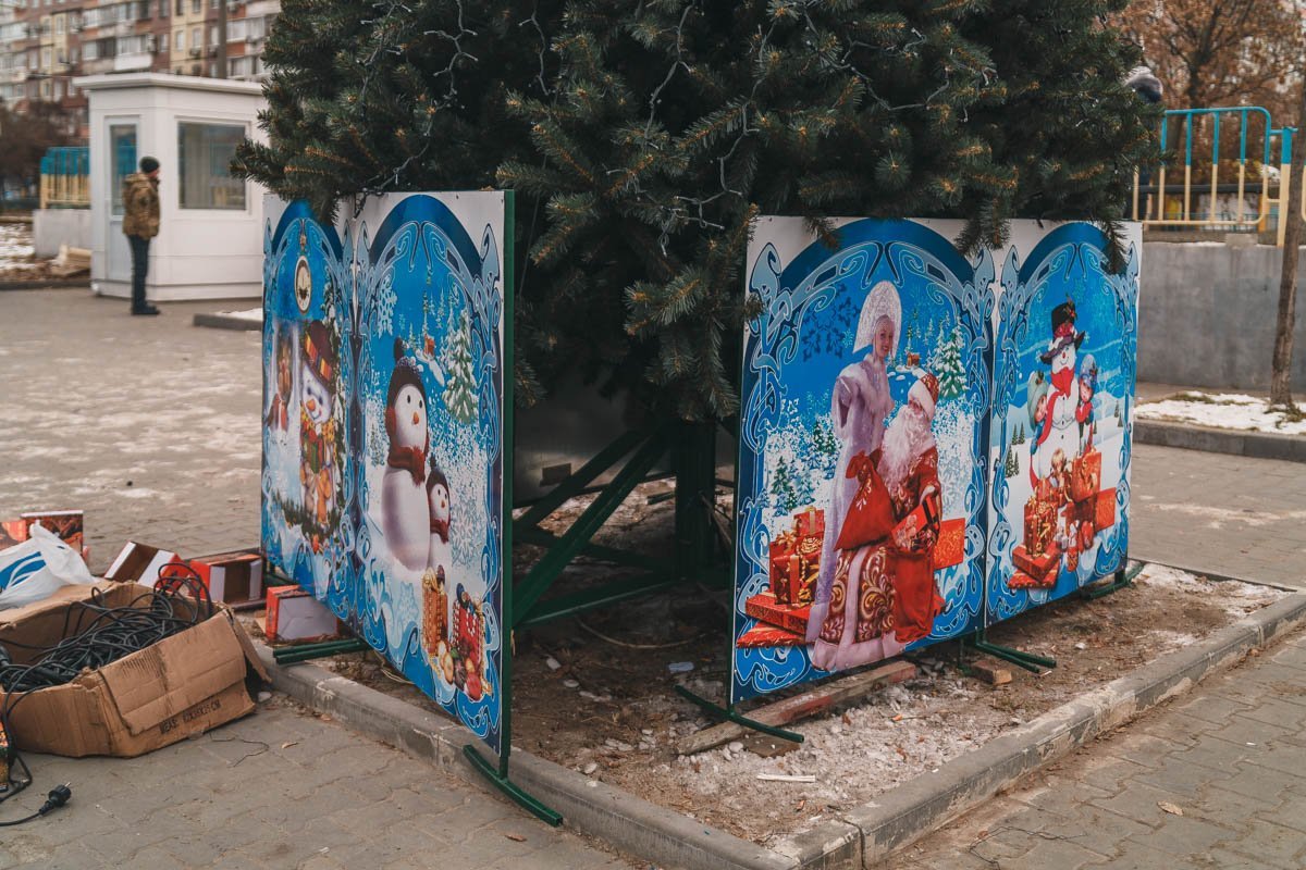 Вечнозеленую будут охранять Вечнозеленую будут охранять