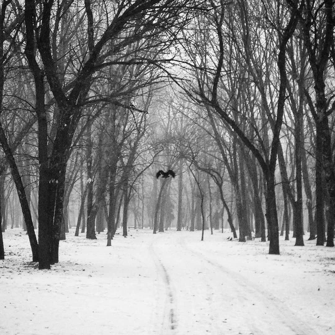 ... и сидит, сидит зловещий Ворон черный, Ворон вещий... ... и сидит, сидит зловещий Ворон черный, Ворон вещий...