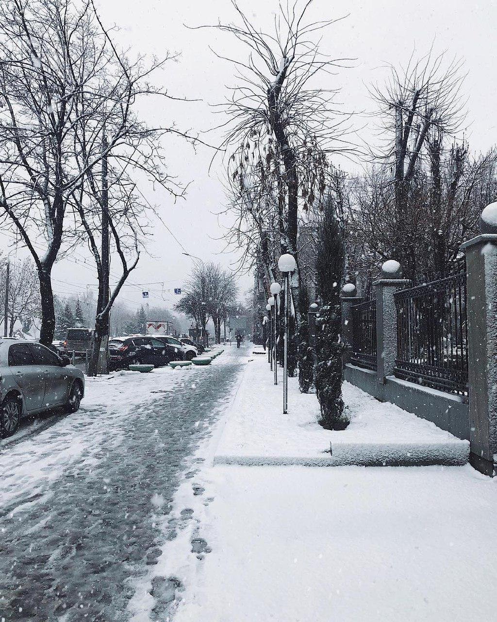 Тоже почувствовали запах мандаринов? Фото: tanktata Тоже почувствовали запах мандаринов? Фото: tanktata