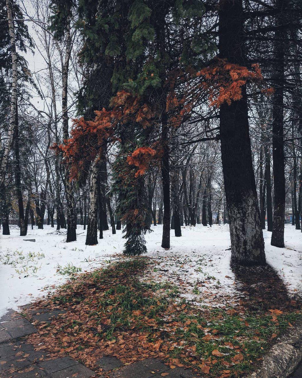 Не забудь надеть шапку. Там холодно. Фото: romashcko Не забудь надеть шапку. Там холодно. Фото: romashcko