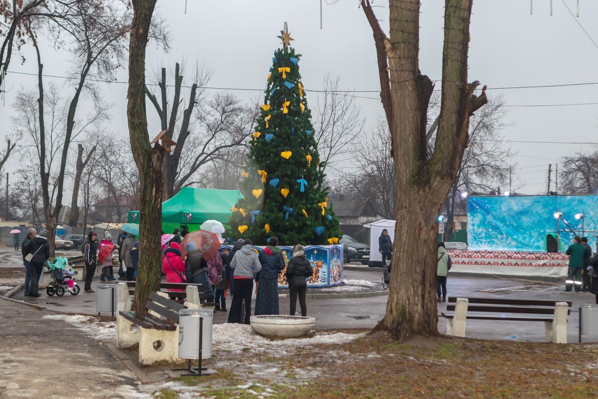 В Амурском парке открыли елку