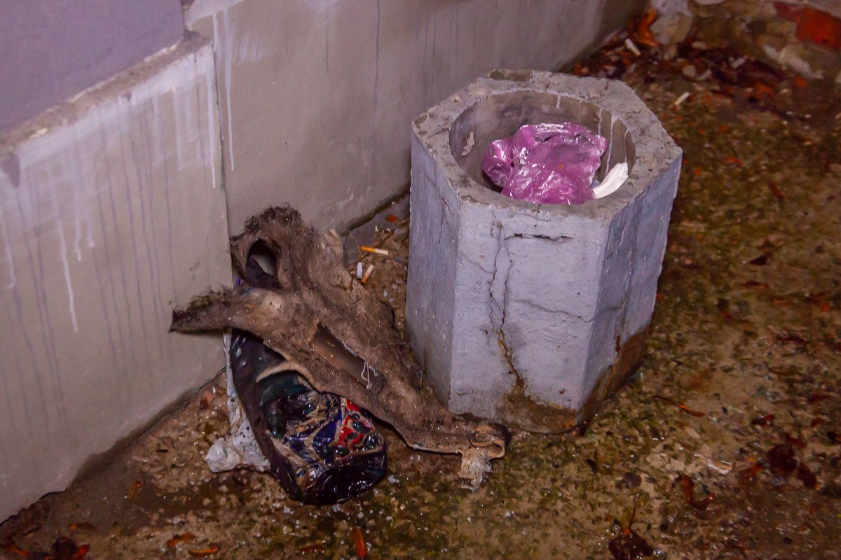 Канистра с горючей смесью, петарда и зажигалка лежали рядом с поврежденной машиной Канистра с горючей смесью, петарда и зажигалка лежали рядом с поврежденной машиной