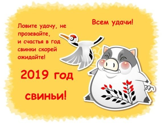Поздравления с Новым годом-2019: прикольные и короткие СМС в стихах и прозе 2
