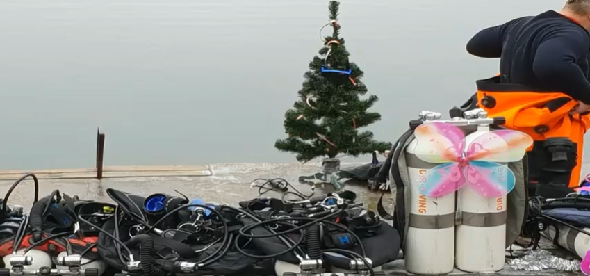 Потому что праздник должен прийти ко всем. И к рыбам тоже