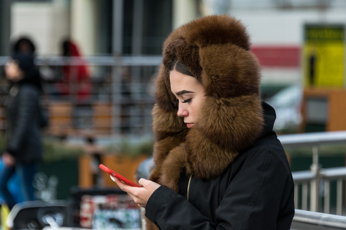 Иногда хочется быть северным мишкой