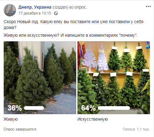 Что думают в Днепре: какие елки выбирают жители Днепра - живые или искусственные 3