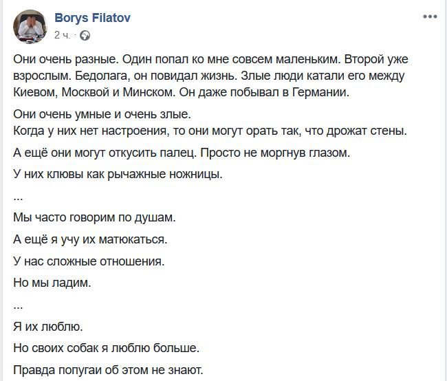 Откровения от мэра