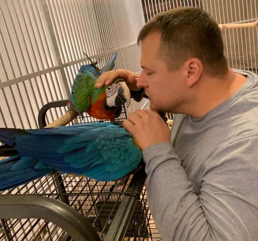 Они очень разные