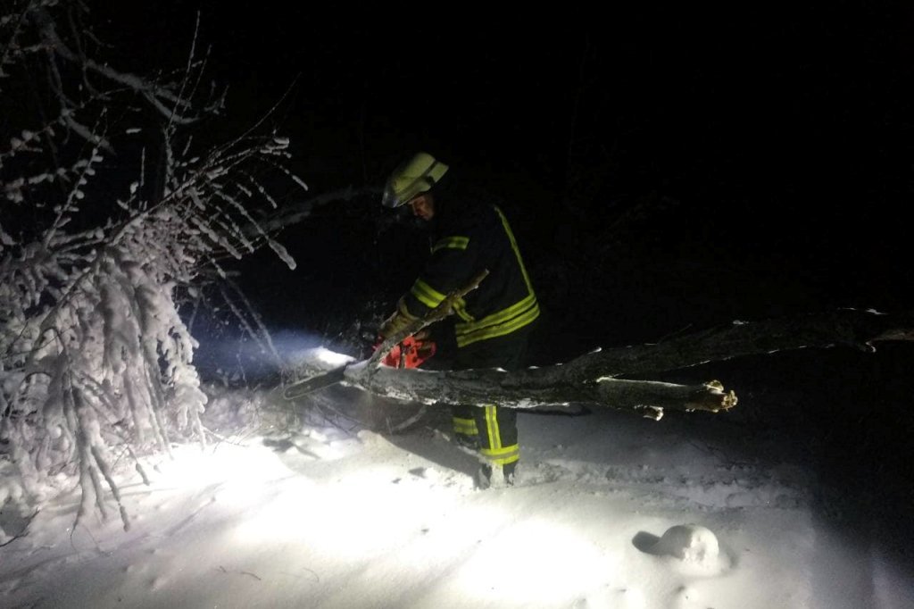 Спасатели занимался также ликвидацией поваленных деревьев