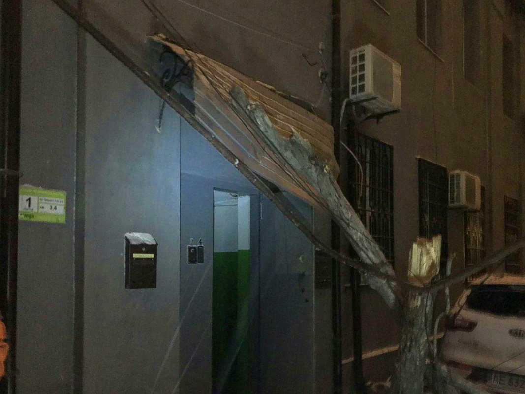 На своем пути дерево также повредило участок забора и козырек подъезда На своем пути дерево также повредило участок забора и козырек подъезда