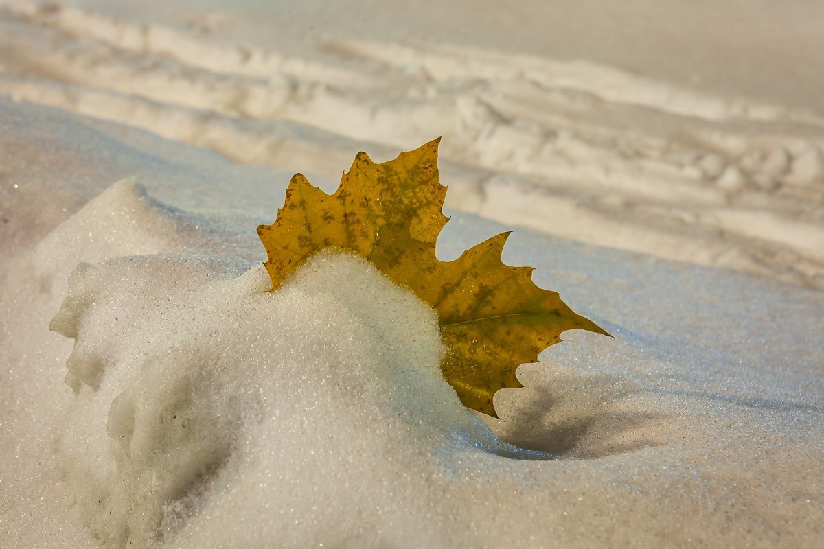 Иногда еще можно увидеть отголоски осени