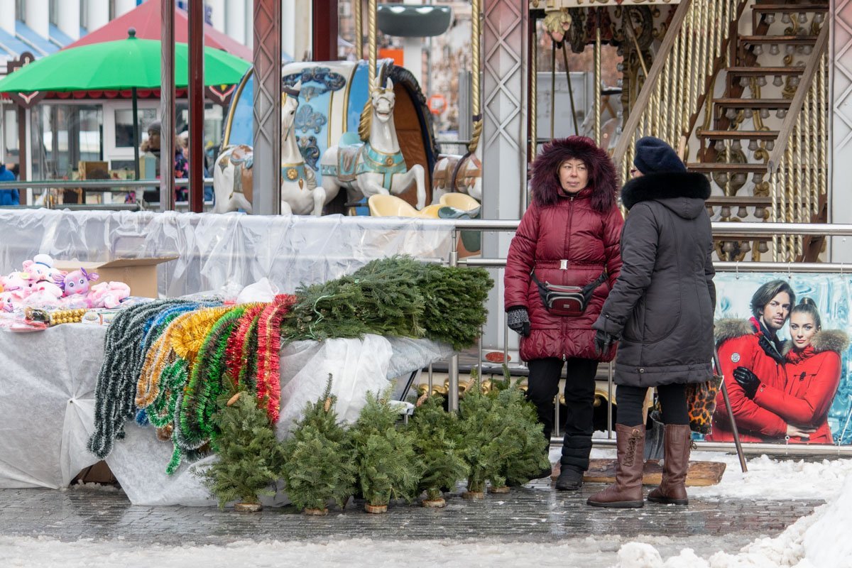 Еще не поставил новогоднюю елку? Не надо так