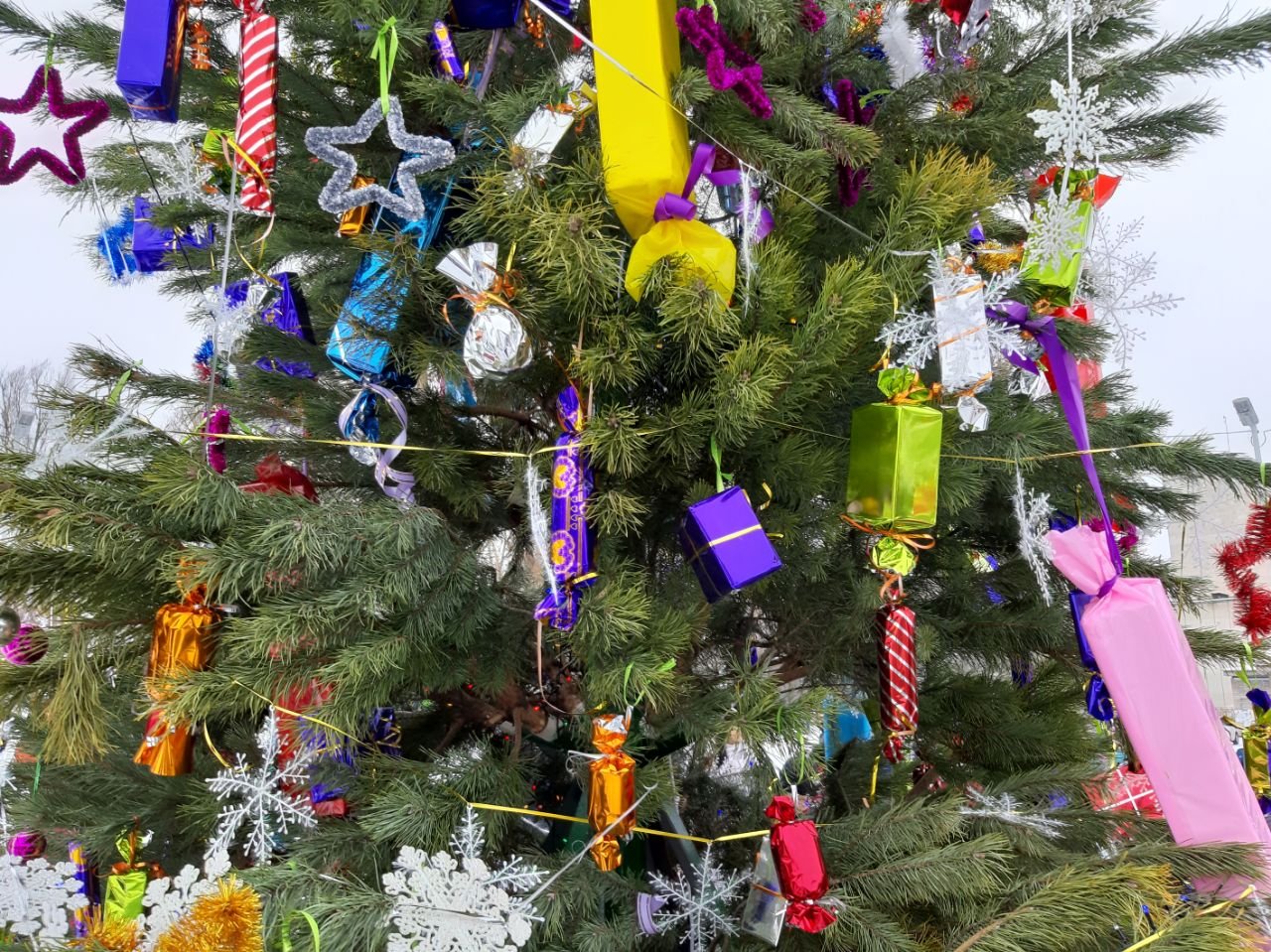 В Днепре жители самостоятельно установили новогоднюю елку у себя в районе 4