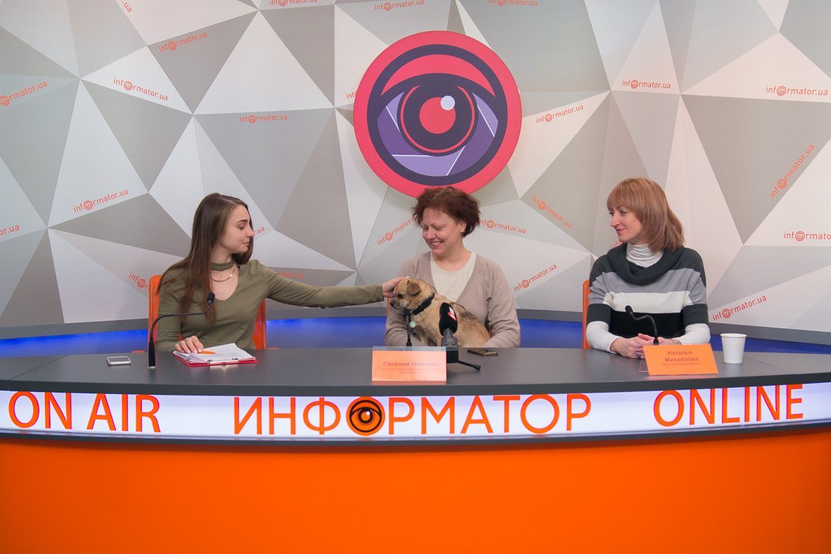 Берегите своих любимцев! Берегите своих любимцев!