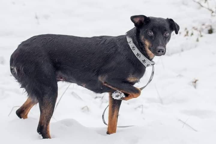 Малышка Бетти Малышка Бетти