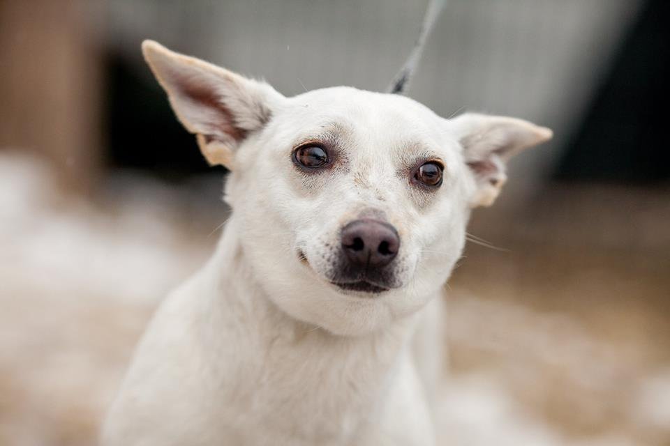 Класнючая Джерри Класнючая Джерри