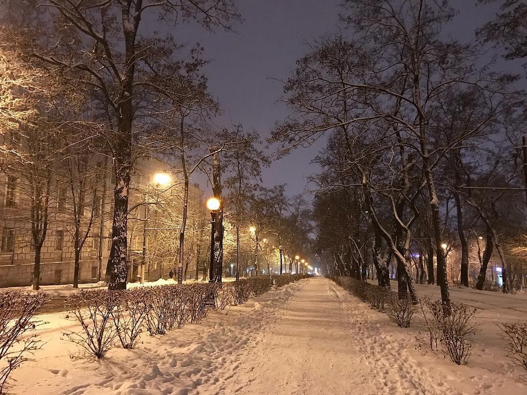 Вдыхайте аромат зимы. Фото: imax007 Вдыхайте аромат зимы. Фото: imax007