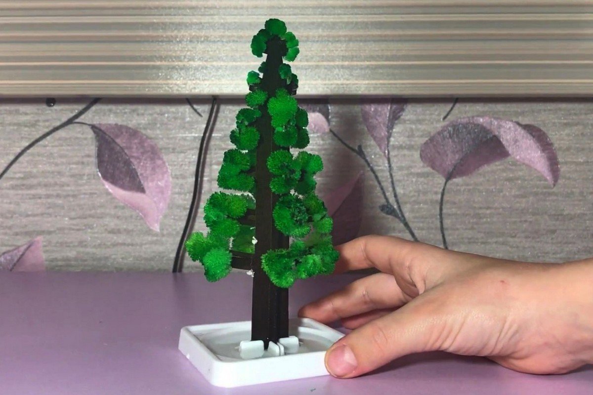 Держу пари, такой елки у вас еще не было Держу пари, такой елки у вас еще не было