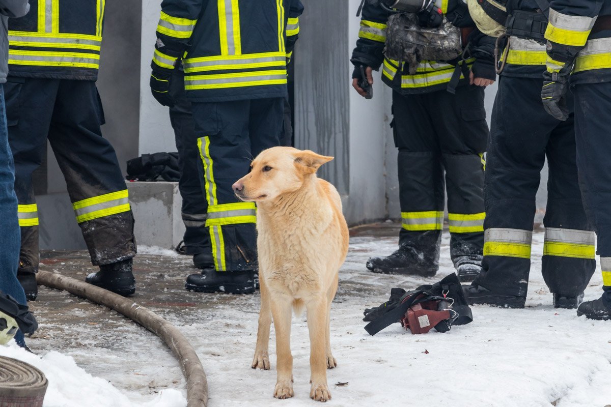 Контролирует работу спасателей