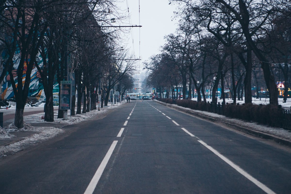 Утро выдалось тихим и спокойным Утро выдалось тихим и спокойным