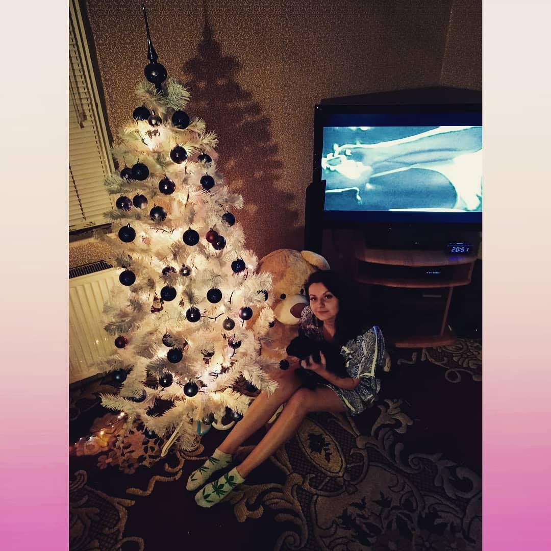 Кошка жадно оглядывает елку. Фото: yana_koval