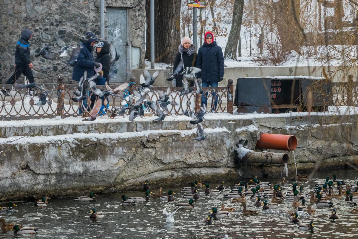 Большое скопление людей в парке Глобы 