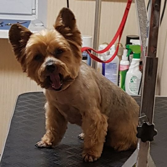 Малышка испугалась фейерверков