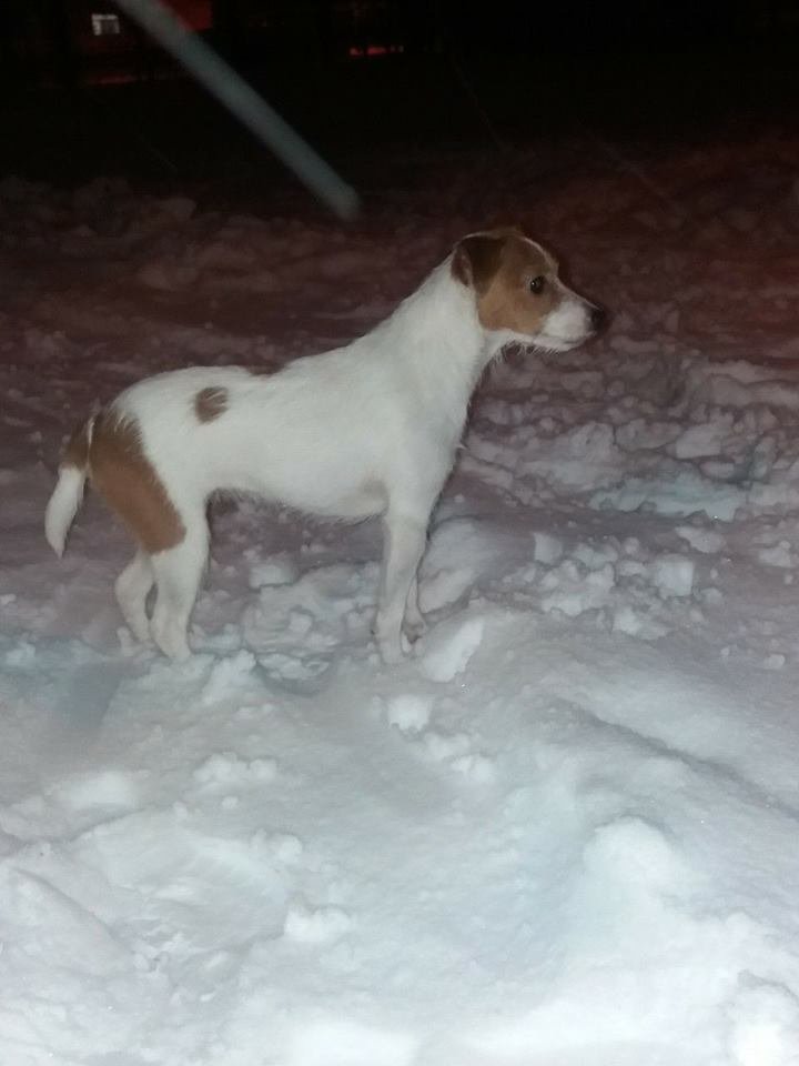 Малышка хочет домой