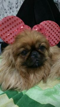 Потерялась