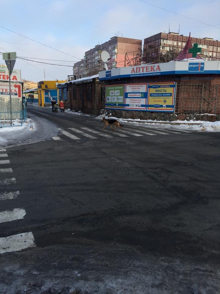 Хочет домой