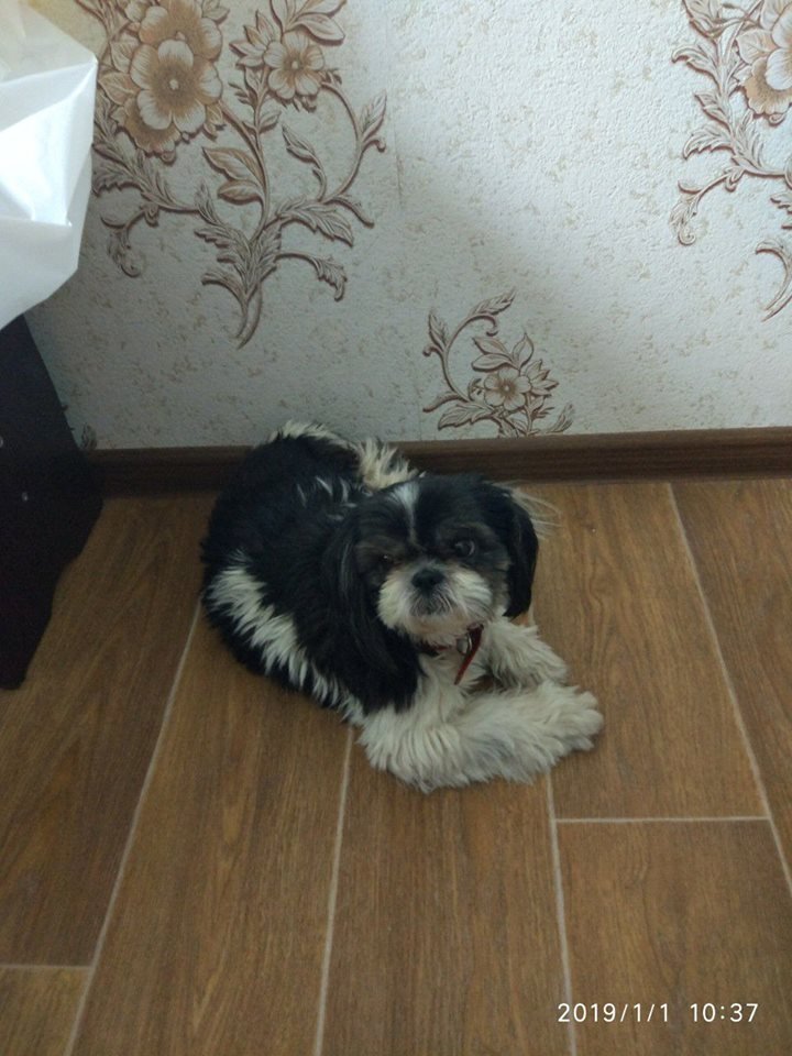 Ждет хозяина