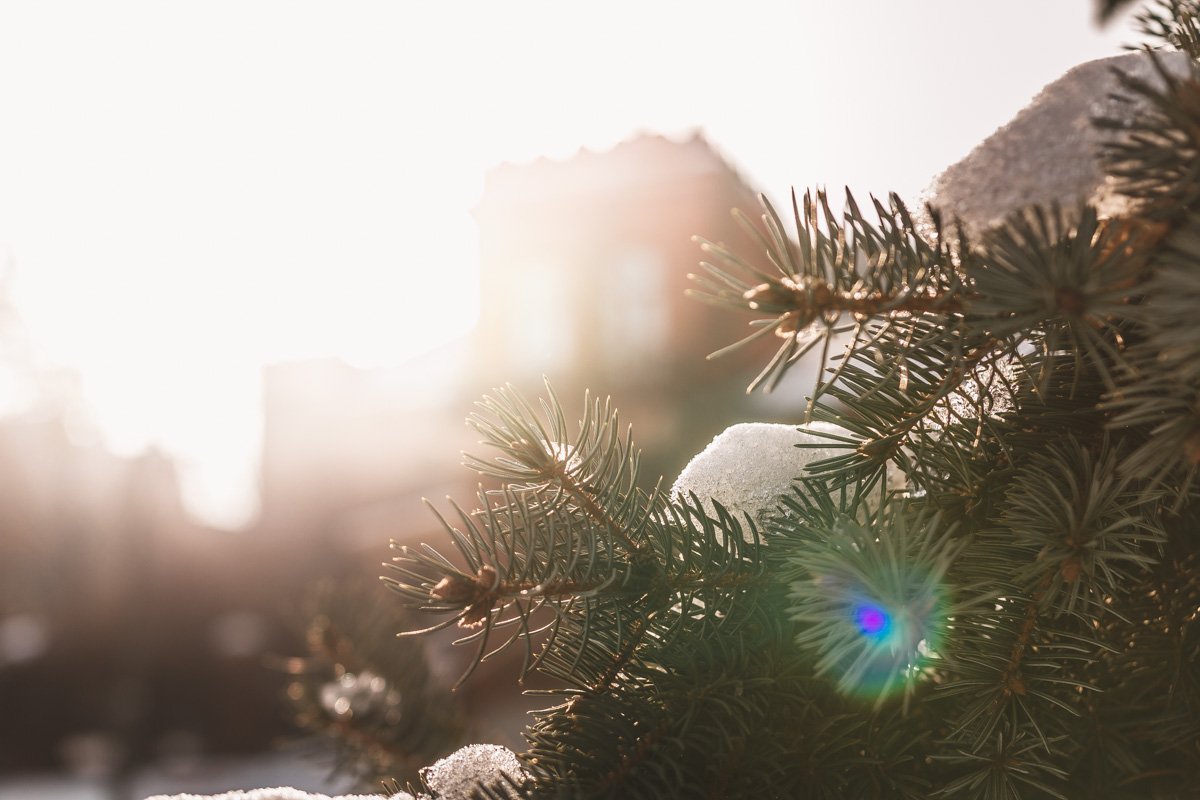 Солнце целует город, растапливая снег