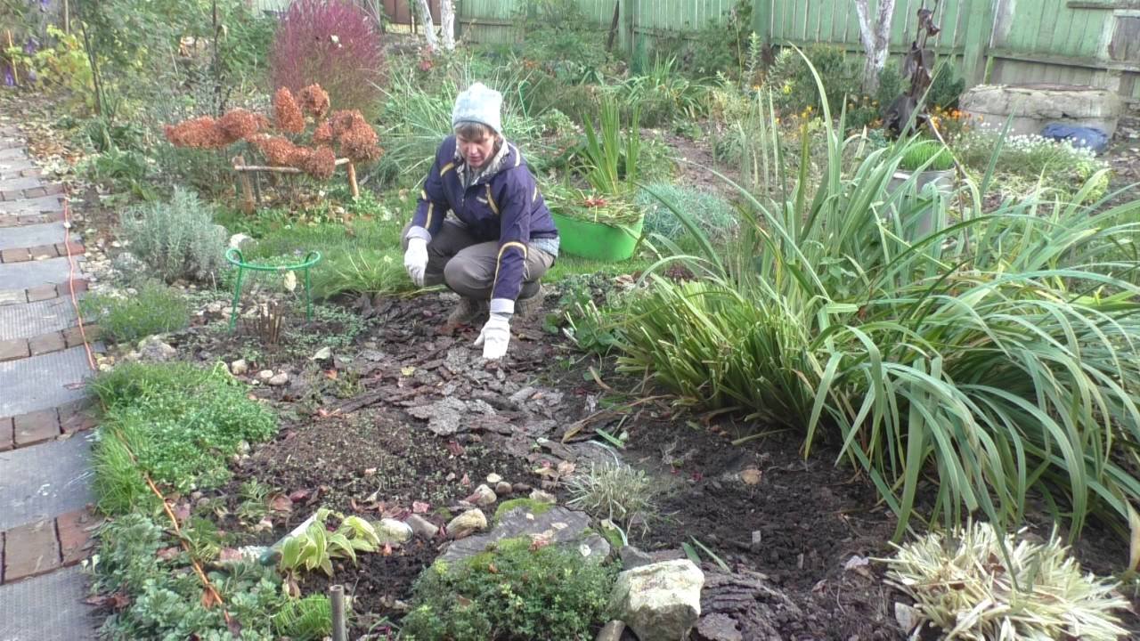 Хвоя - отличное удобрение