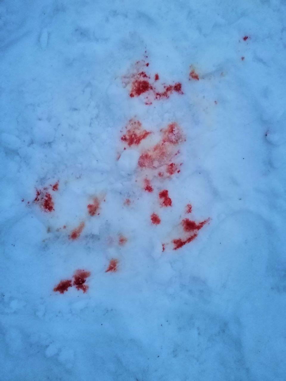 У пострадавшего травмирована нога