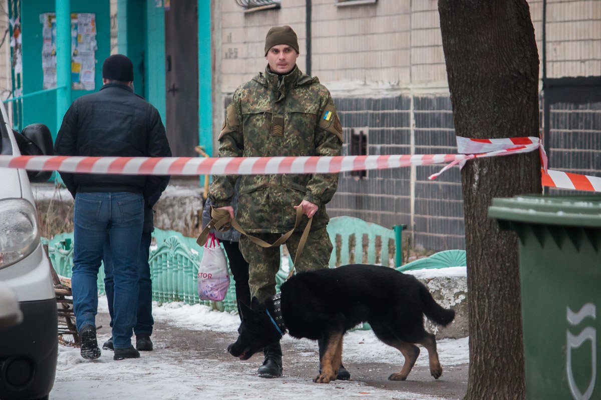 Кинологи также на месте