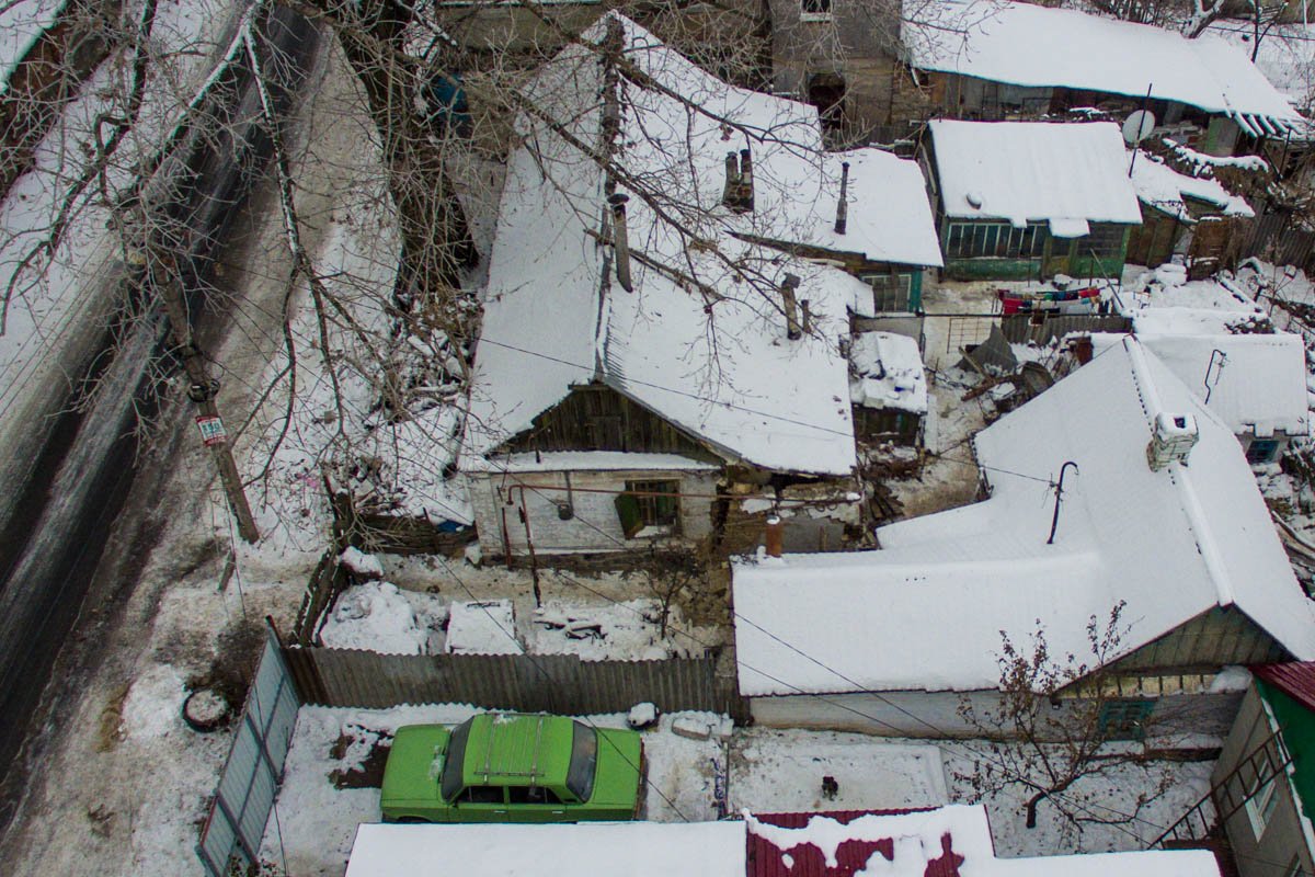 Жителям рассказали, что это дерево для снайпера Жителям рассказали, что это дерево для снайпера