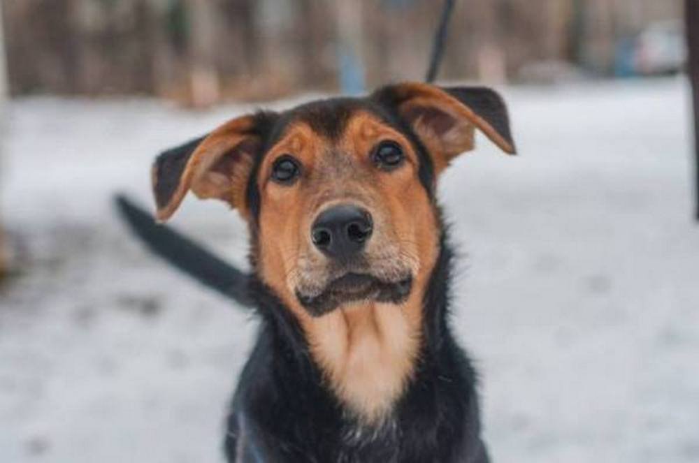 В этих глазах целая Вселенная