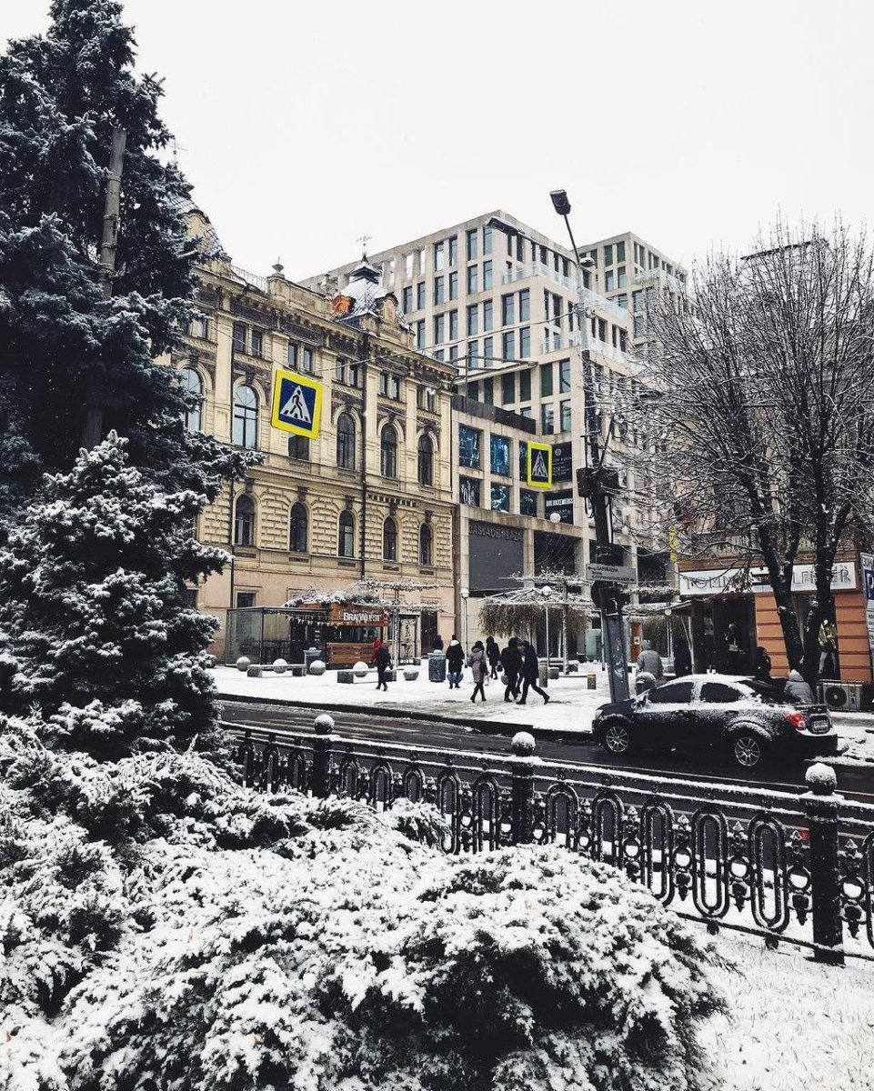 Чувствуешь, как пахнет мандаринками? Фото: v.pereyaslavskiy Чувствуешь, как пахнет мандаринками? Фото: v.pereyaslavskiy