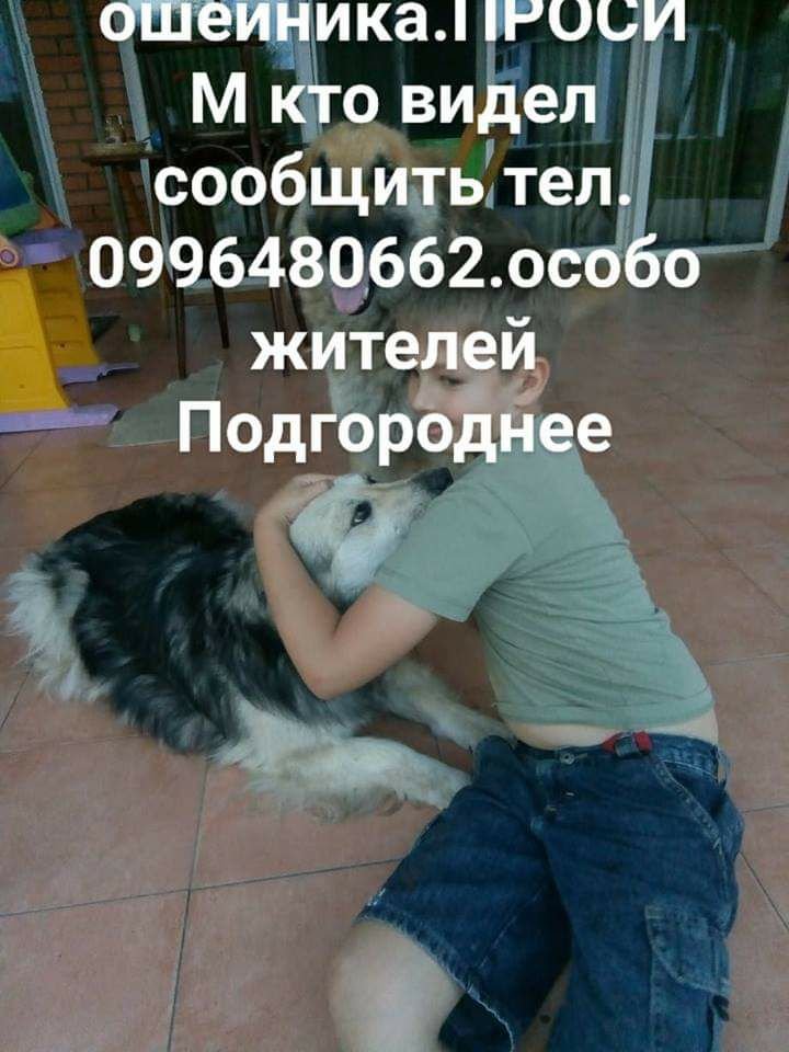 Помогите найти