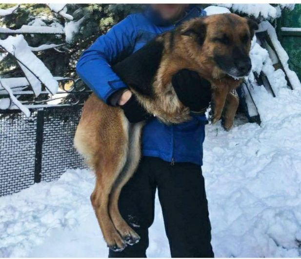 Ведь так не бывает на свете, чтоб были потеряны...