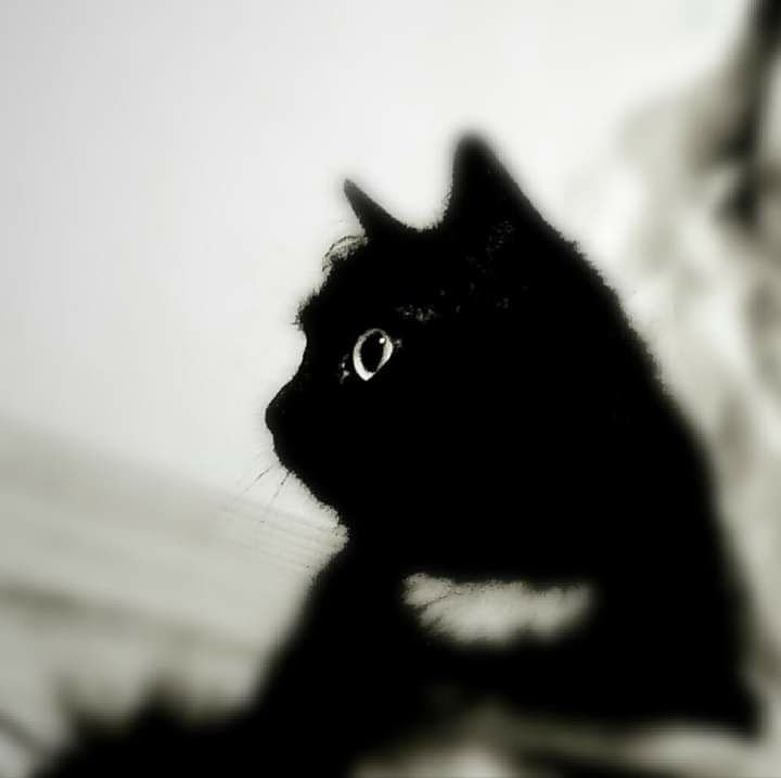 Хочет найтись