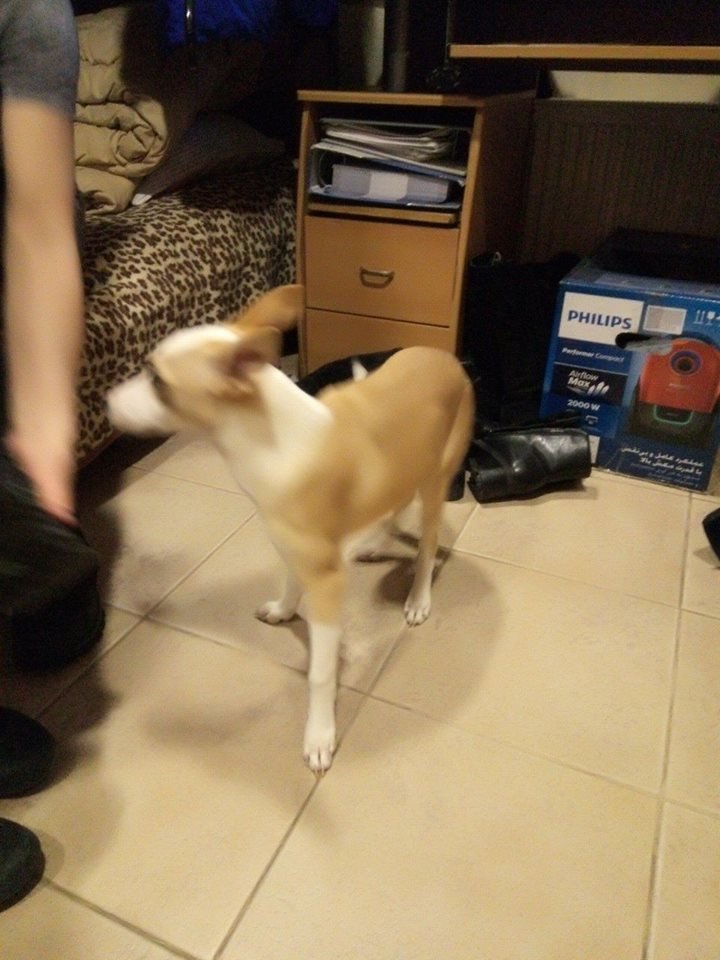 А вдруг чей-то